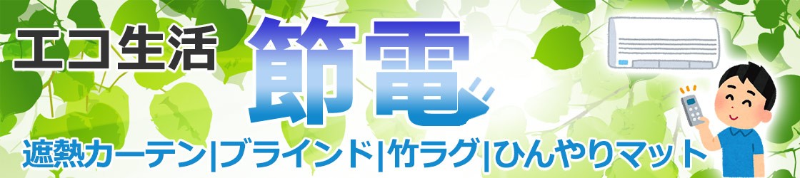 今年の夏も節電でエコ生活