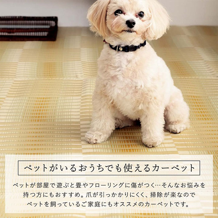 イケヒコ 【本間10畳】 日和 洗えるカーペット 約477.5×382cm