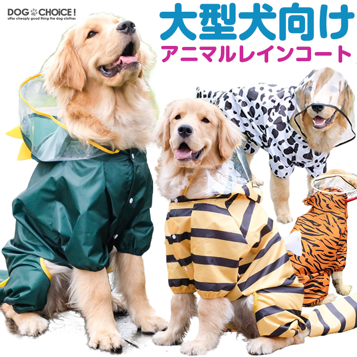 犬がしっぽを追う理由｜anicom you（アニコムユー）