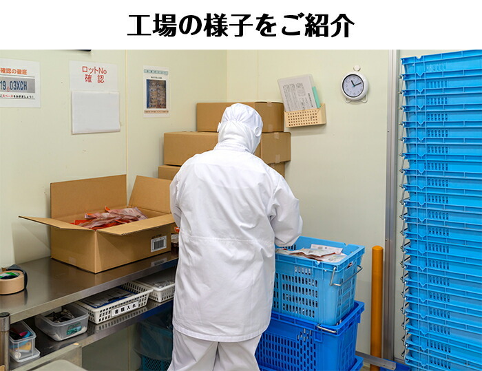 送料無料 THE 犬飯（いぬまんま）シリーズ 北海道産鶏使用鶏筋肉ソフト