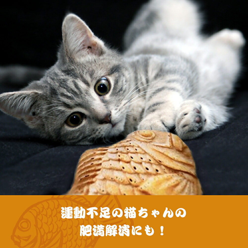 Xsサイズ たい焼き ぬいぐるみ 収納紙袋付き プレゼントや贈答にも たいやき 運動不足解消 品質満点 ストレス解消 肥満解消 猫 猫じゃらし ねこじゃらし
