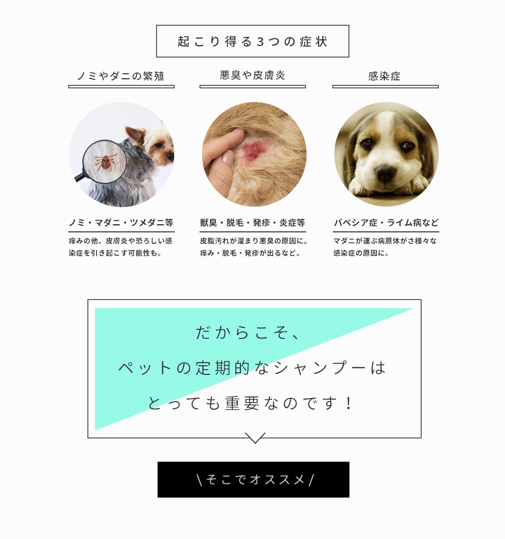 shiki 動物用ドライシャンプー　犬 猫 シャンプー ペット用 ドライシャンプー