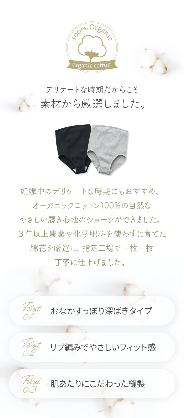 綿100％ オーガニックコットン LL 3L 4L 大きいサイズ グレー ブラック 黒