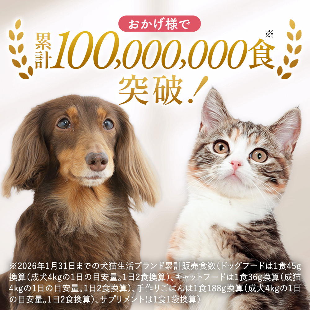 犬猫生活 【特典付き】犬猫生活 犬用 高栄養ピューレ 国産チキン