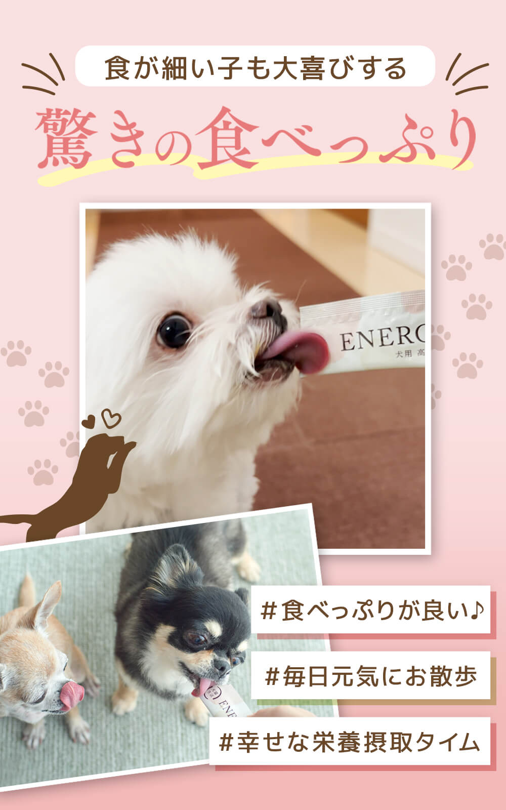 犬猫生活 【特典付き】犬猫生活 犬用 高栄養ピューレ 国産チキン