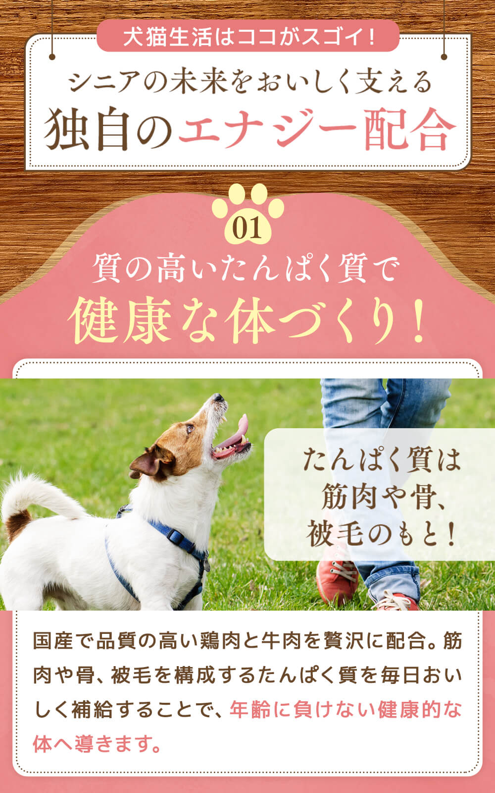 【犬用】高エネルギーピューレ 3袋45本(犬猫生活) 犬猫生活 【特典付き】犬猫生活 犬用 高栄養ピューレ 国産チキン
