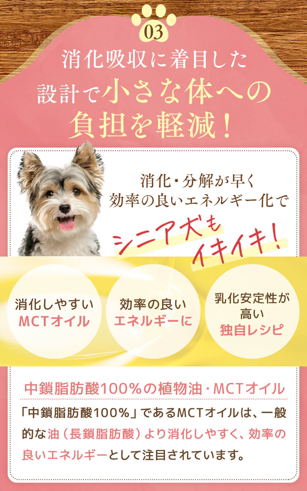 犬猫生活 【特典付き】犬猫生活 犬用 高栄養ピューレ 国産チキン