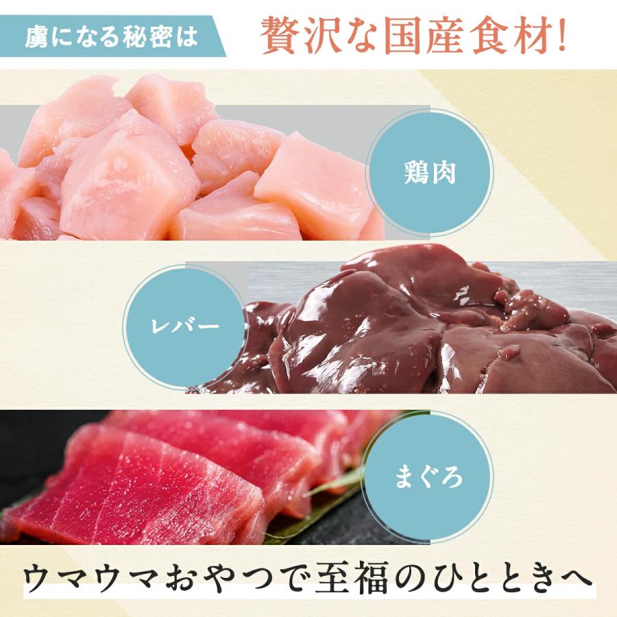犬猫生活 デンタルピューレ 犬猫兼用 獣医師共同開発 国産の鶏肉