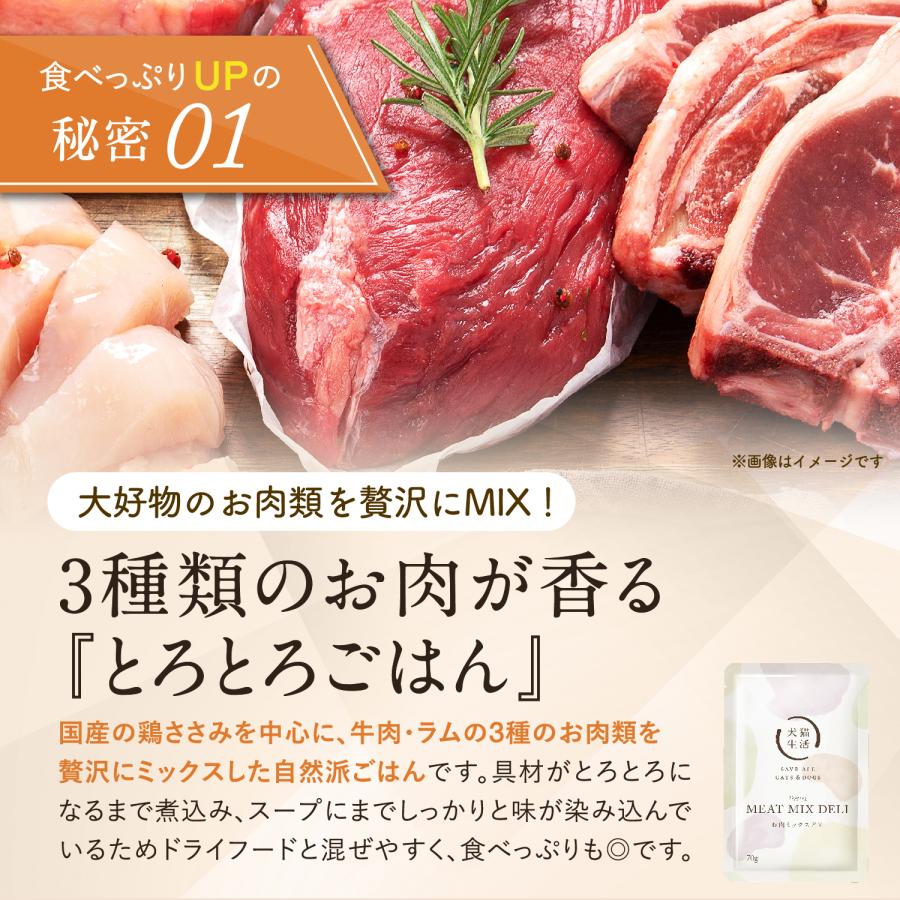 犬猫生活 お肉ミックスデリ 犬 猫 用 常温 ウェットフード トッピング