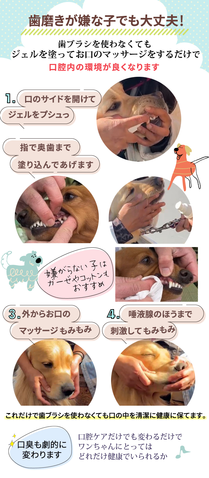 犬用歯磨き 無味無臭 安全安心無添加 犬用歯磨き粉 犬猫用歯磨き 猫 歯石除去 口臭 歯垢除去 犬用 歯磨きジェル ピュアツルデンタル  60mL２個セット : puretsurudental2 : 犬猫博士の研究所 - 通販 - Yahoo!ショッピング