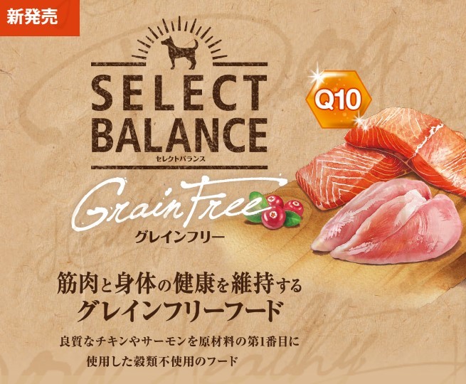 セレクトバランス グレインフリー アダルトサーモン 小粒 2.4kg