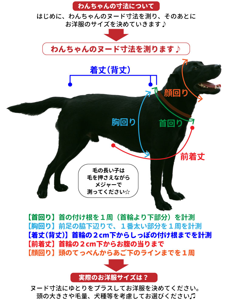 6619円 テレビで話題 犬の鎖 ガード 中型 および 大型犬 ゴールデンレトリバー