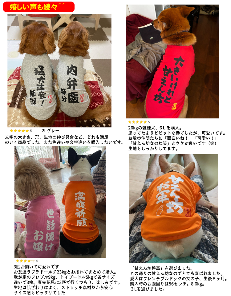 名入れ 犬服 おもしろ コメント のびのび ストレッチ Tシャツ）豊富な