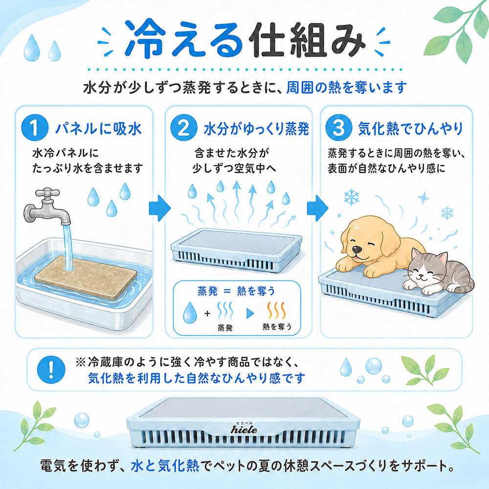 気化熱で冷える仕組み