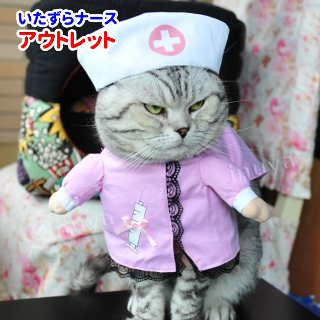 犬服 コスプレ なりきり ドクター Or ナース 2足歩行 変身 仮装 ナース 小型犬 ダックス トイプードル チワワ ポメラニアン ハロウィン バラエティー Idwt 019 犬屋 Yahoo 店 通販 Yahoo ショッピング 犬服 コスプレ なりきり ドクター Or ナース 2足歩行 変身 仮装 ナース 小型犬 ダックス トイプードル チワワ ポメラニアン ハロウィン バラエティー Idwt 019 犬屋 Yahoo 店 通販 Yahoo ショッピング