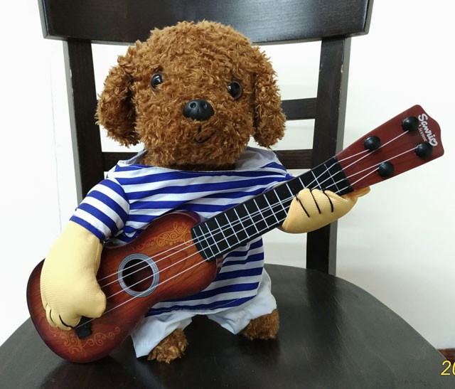 コスプレ・コスチューム・なりきり・ドッグウェア・犬服・洋服・ギター・