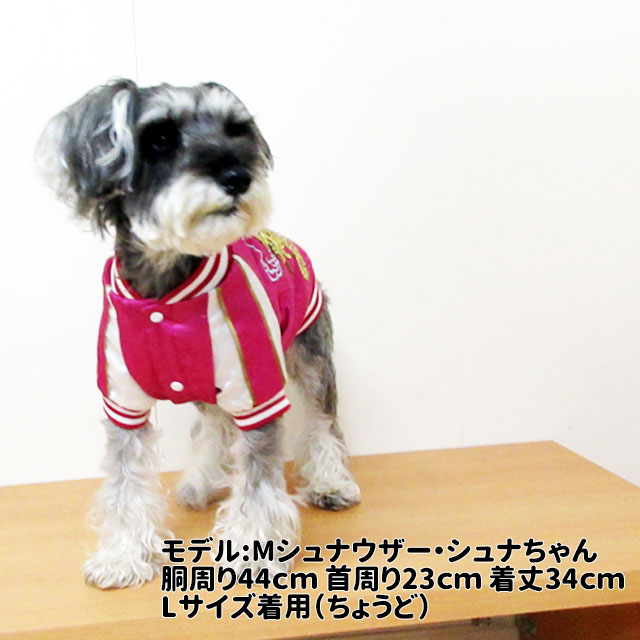 犬服 ハンドメイド ふちリブ 犬服 ハンドメイド ふちリブ