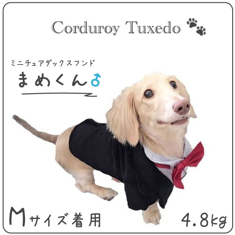 犬 服 タキシード 赤リボン 黒コーデュロイ 小型犬 フォーマル 春 夏秋 Hoopet ブランド 結婚式 披露宴 パーティー ドレス シャツ チワワ ヨーキー ト Idwt Ch0 犬屋 Yahoo 店 通販 Yahoo ショッピング