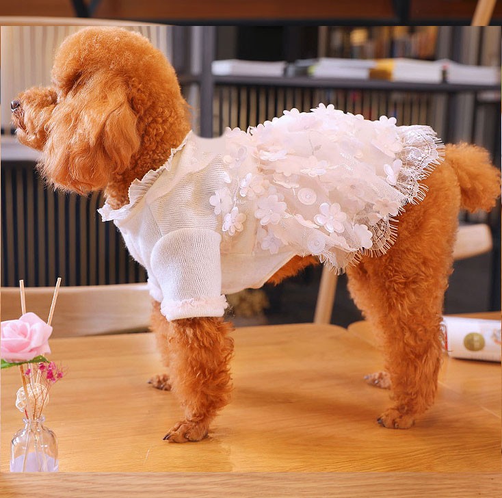 犬服 （ ホワイトニット 花柄ドレス ） ワンピース ピンク かわいい フリル フリフリ 小型犬 春 夏 女の子 お花 レース 結婚式 パーティー  フォーマルセール （