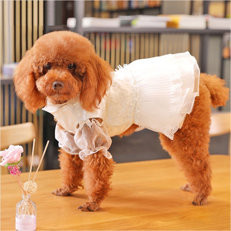 犬服 （ シースルー ホワイト ドレス ） ワンピース かわいい フリル フリフリ 小型犬 春 夏 女の子 お花 レース 結婚式 パーティー  フォーマルセール （ チワワ :idwt-ch142:犬屋 Yahoo!店 - 通販 - Yahoo!ショッピング