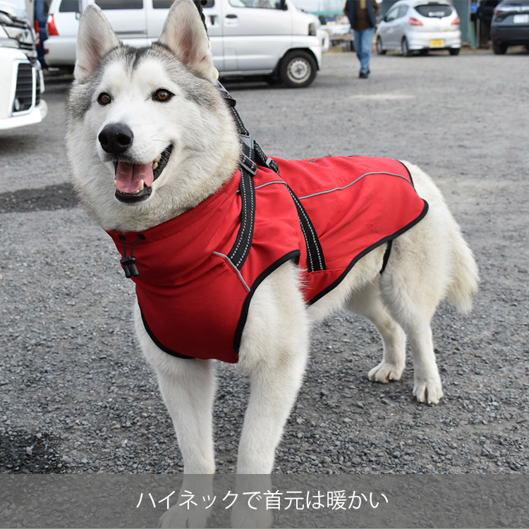 犬服 冬服 （ ハイネック バックル付き スムース コート ） 防寒 暖か 