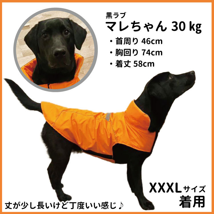 犬服 （ 新タイプ 裏地 フリース 防寒 レインコート ） 中型犬 大型犬