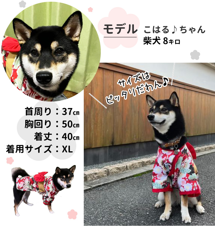 犬服 （ 着物 レッド 梅 松 鶴 ） 柴犬用 着物 結婚式 晴れ着 コスプレ 結婚式 年賀状 七五三 正月 和装 日本 ペット 女の子 洋服 おしゃれ