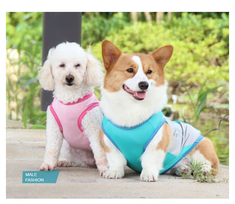 犬服 名入れ 冷感 メッシュ クール タンクトップ 大型犬用 ツートン