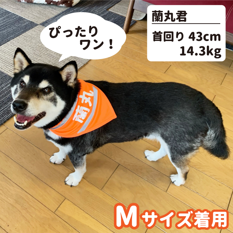 名前入れ ） 安全 バンダナ 反射素材 ワンタッチ 調節可 犬 小型犬