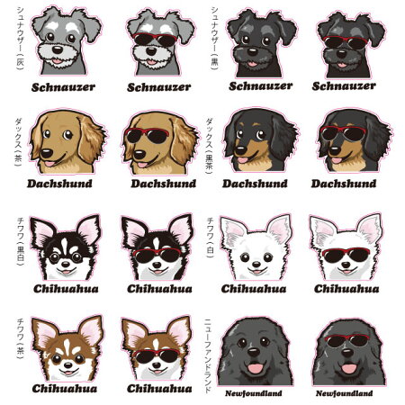 名前入れ ステッカー 名入れ 可愛い オリジナル 犬 窓 いぬや 玄関 プードル かわいい 車用 コーギー 柴犬 くたいぬ おでかけ 犬屋