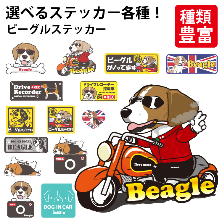 選べる （ ステッカー ビーグル ） オリジナル グッズ 雑貨 ペット 車