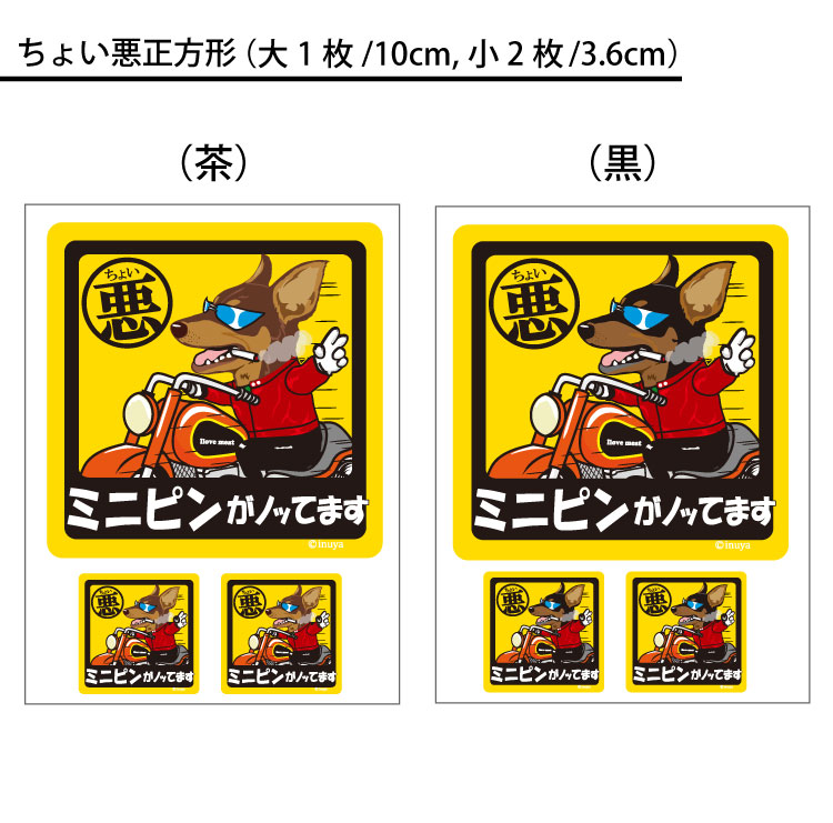 st-all-minipin2.jpg
