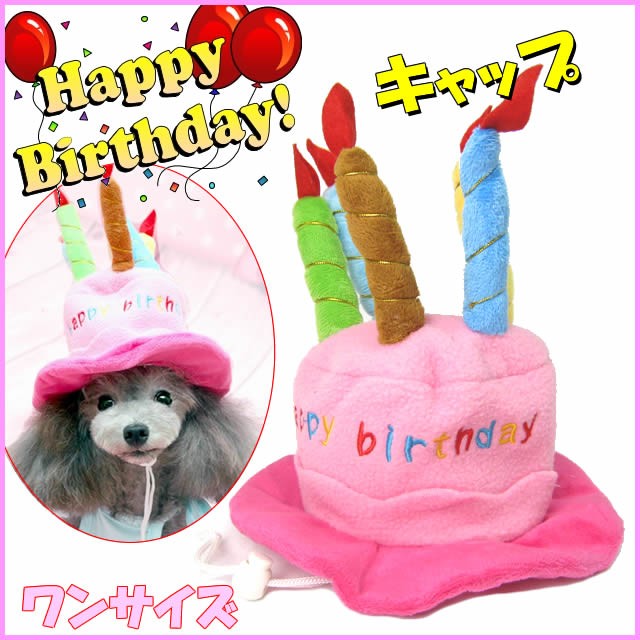 犬 誕生日 ハッピー バースデー キャップ かぶりもの お誕生日 猫 帽子 パーティー コスプレ 小型犬 パーティー ケーキ ハロウィン グッズ 犬屋 Wa 016 犬屋 Yahoo 店 通販 Yahoo ショッピング