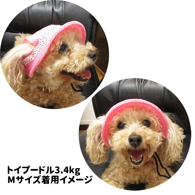 犬用帽子 ハンドメイド まりの様専用です。 - メルカリ