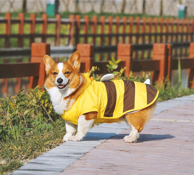 犬 レインコート みつばち ） 中型犬 コスチューム はち 蜂 コスプレ