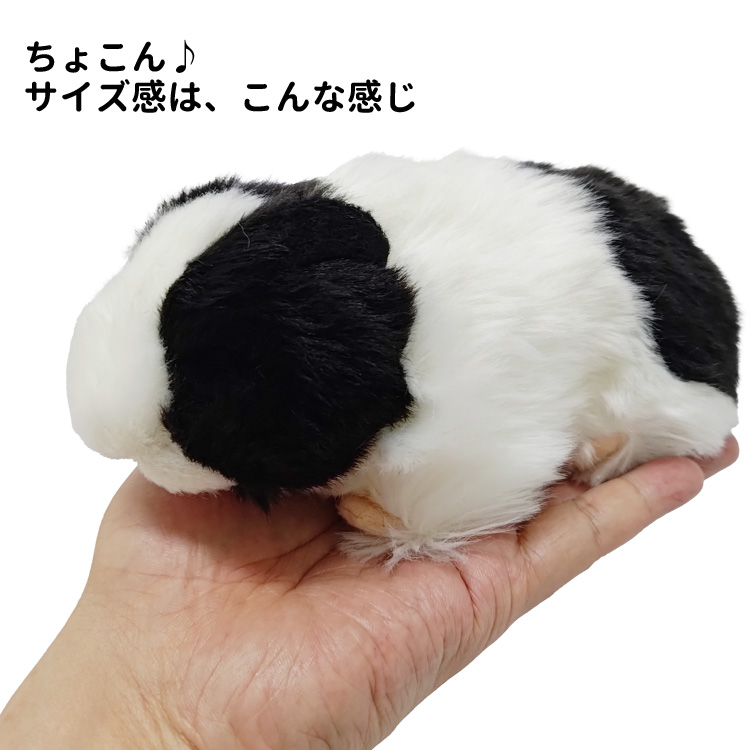 モルカー ぬいぐるみ 詰め合わせ まとめ売り モルモット かわいい Amazon.co.jp: LABRIMP モルモット ブタ 飾り ハムスター