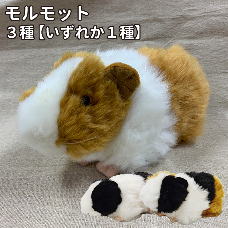 犬 リアル モルモット ぬいぐるみ 3種 ラッピング 雑貨 グッズ
