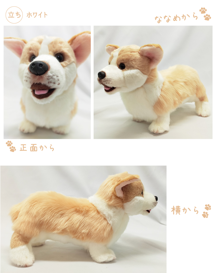 コーギー 立ち ぬいぐるみ 犬 おもちゃ 茶 白 雑貨 グッズ 卒業祝 入学