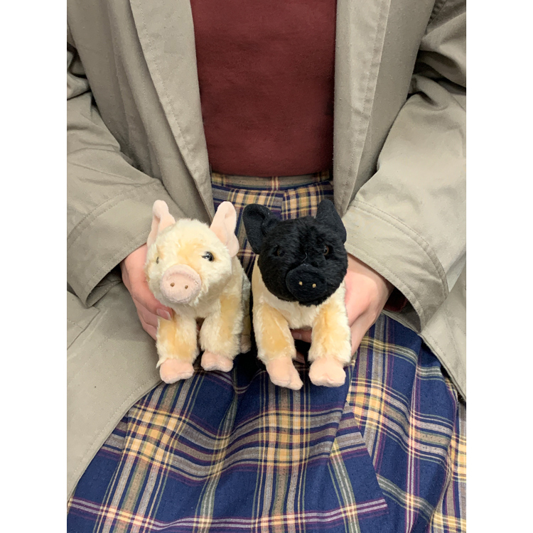 ミニブタ ぬいぐるみ 黒 ベージュ 立ち 犬 おもちゃ お誕生日