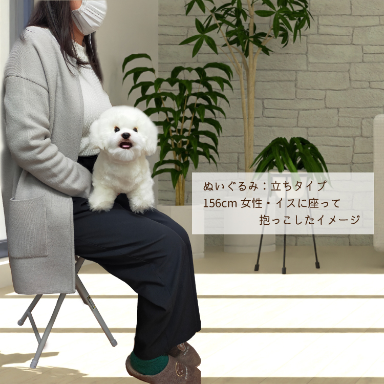 ビションフリーゼ ぬいぐるみ） 犬 おもちゃ 雑貨 グッズ 白い犬