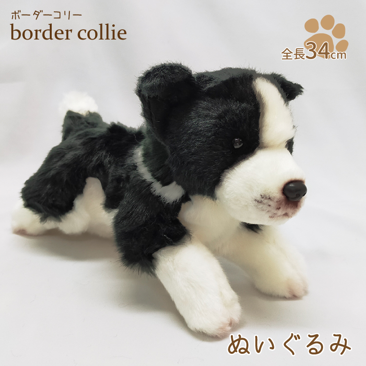 ボーダーコリー 黒白 ぬいぐるみ） 犬 おもちゃ 雑貨 グッズ 卒業祝