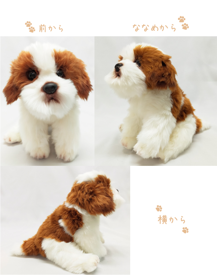 シーズー 茶白 ぬいぐるみ 犬 おもちゃ 雑貨 グッズ 卒業祝 入学