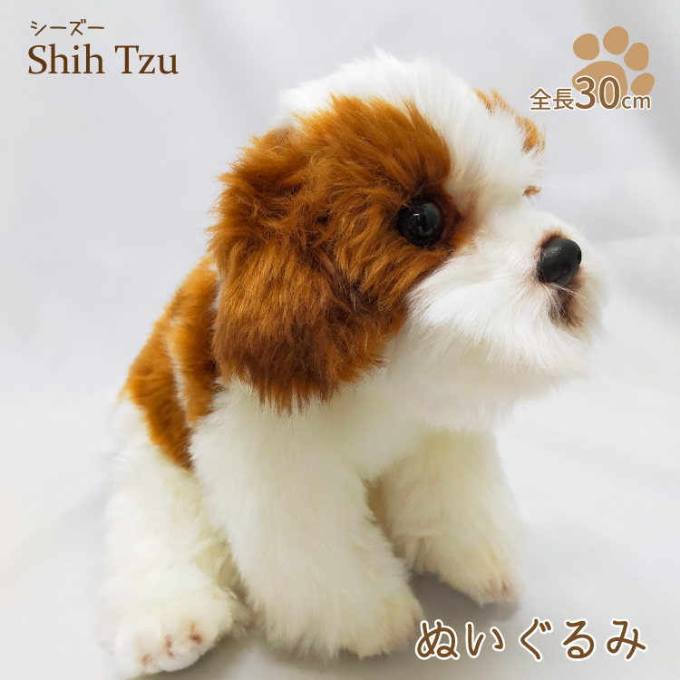 シーズー 茶白 ぬいぐるみ 犬 おもちゃ 雑貨 グッズ 卒業祝 入学