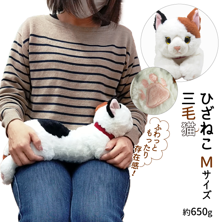 あすつく ） ひざねこ M サイズ 三毛 猫 ぬいぐるみ 三毛猫
