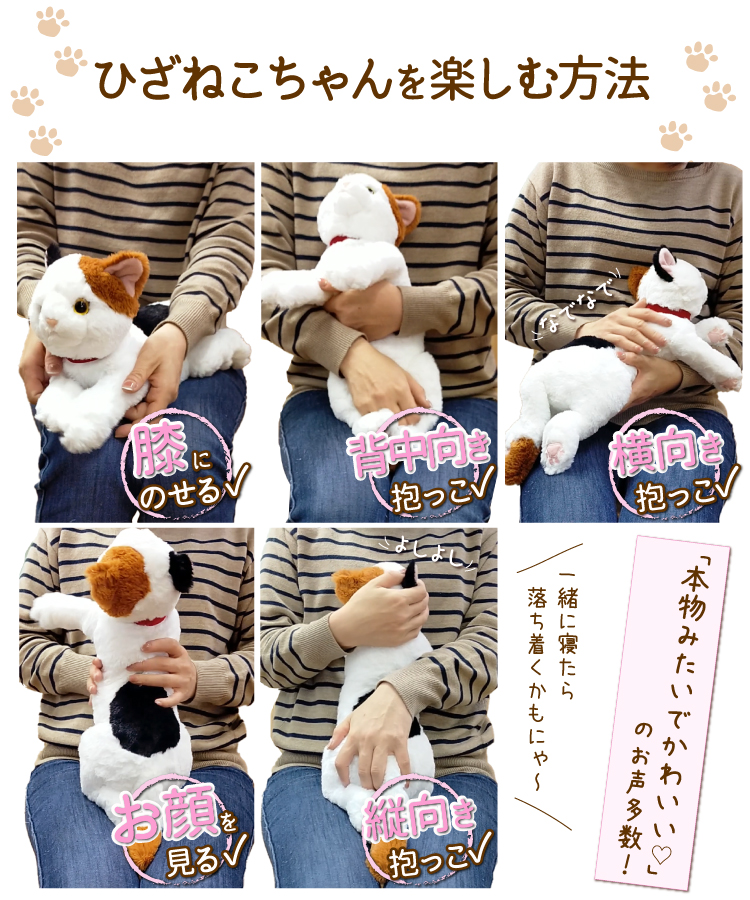 猫のぬいぐるみ3体セット Amazon.co.jp: 【BESTEVER】プレミアムキティ Premium Kitty
