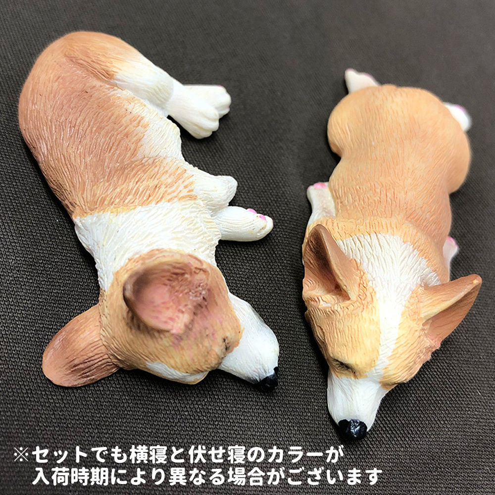コーギー ネムネム ミニミニ マグネット 2個セット 伏せ 横向き