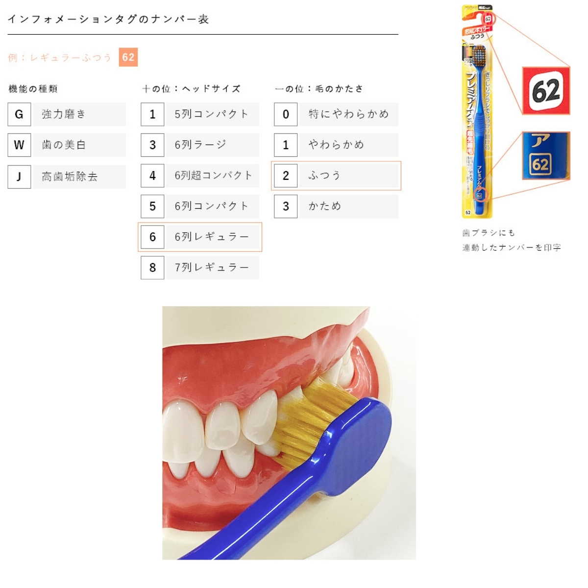 habu-yawa81-3.jpg