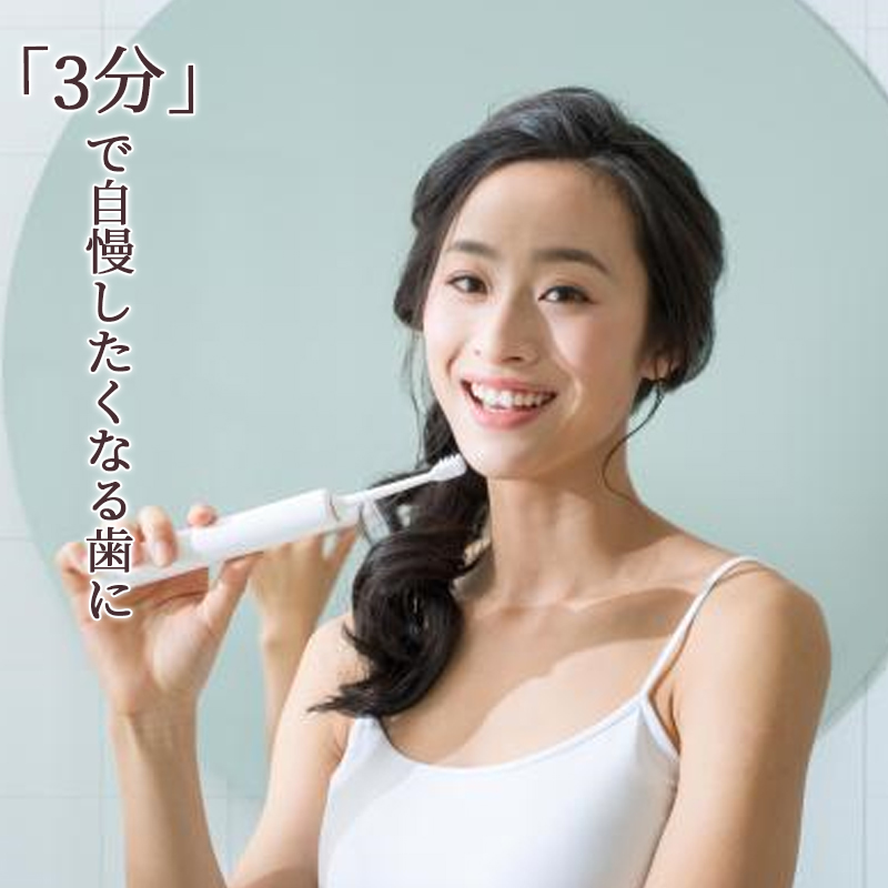 人気急上昇 電動歯ブラシ 替えブラシ4本付き usb 充電式 本体 防水
