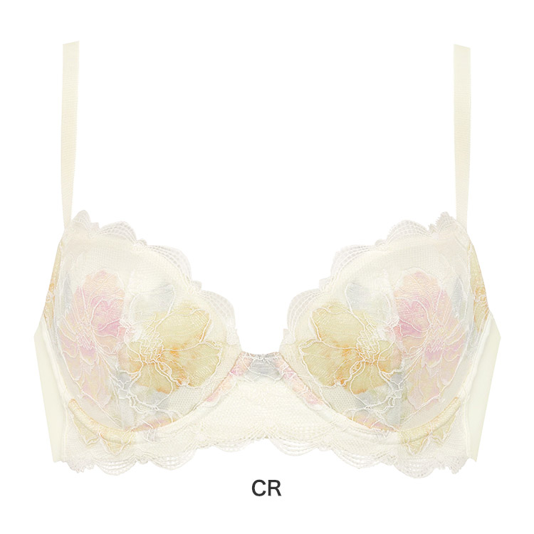 ☆お値下げ中☆WACOALワコール 女神のヒミツ ブラジャー C65