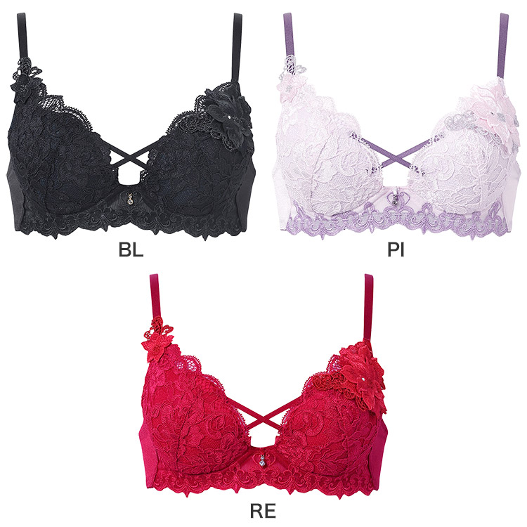 サルート（SALUTE） ワコール 27グループ 27G ブラジャー単品 VIVA